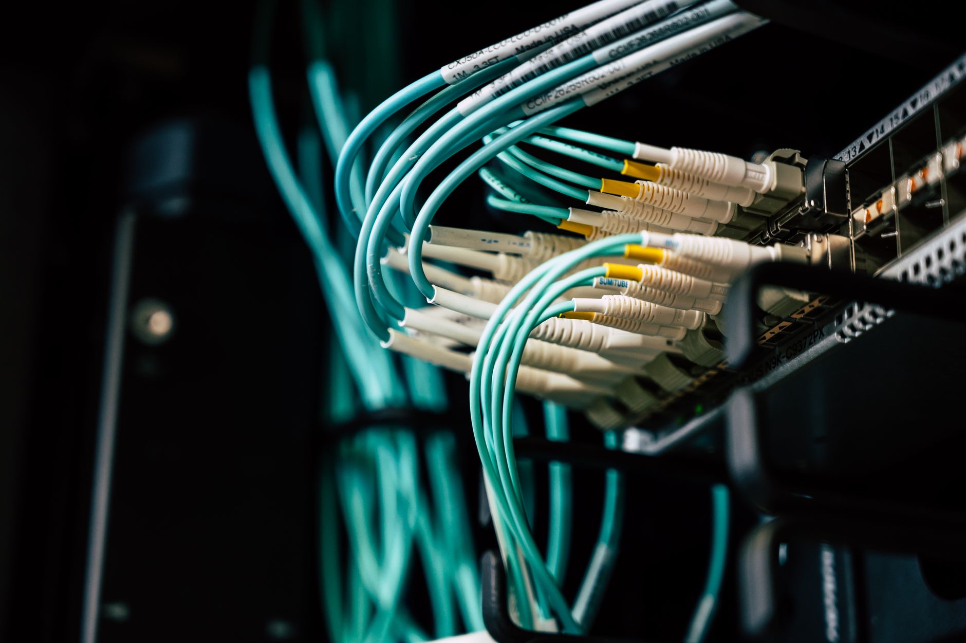 computer says connected but no internet - Detailed view of network cables plugged into a server rack in a data center.