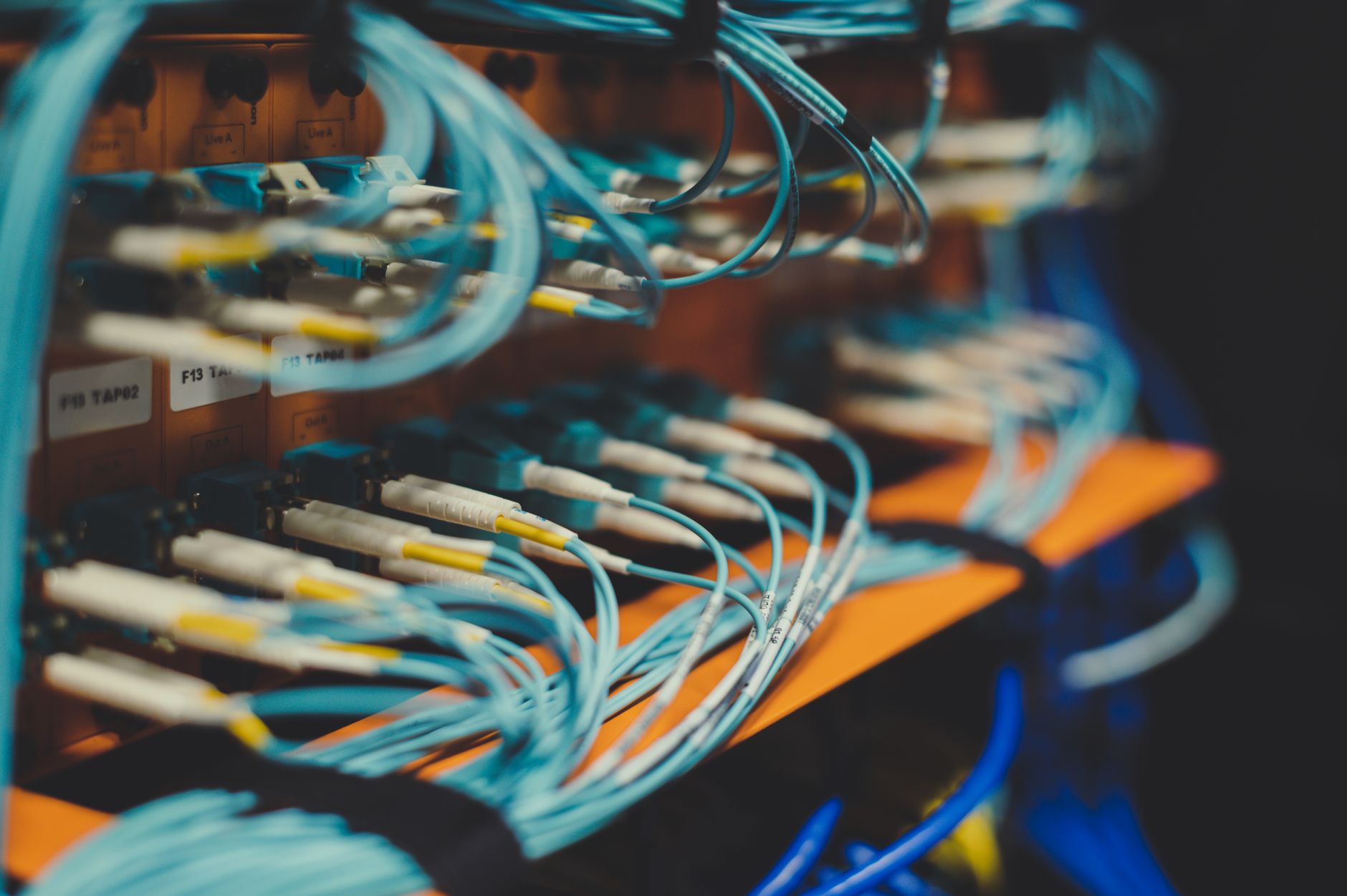 internet but no connection - Closeup of many cables with blue wires plugged in modern switch with similar adapters on blurred background in modern studio