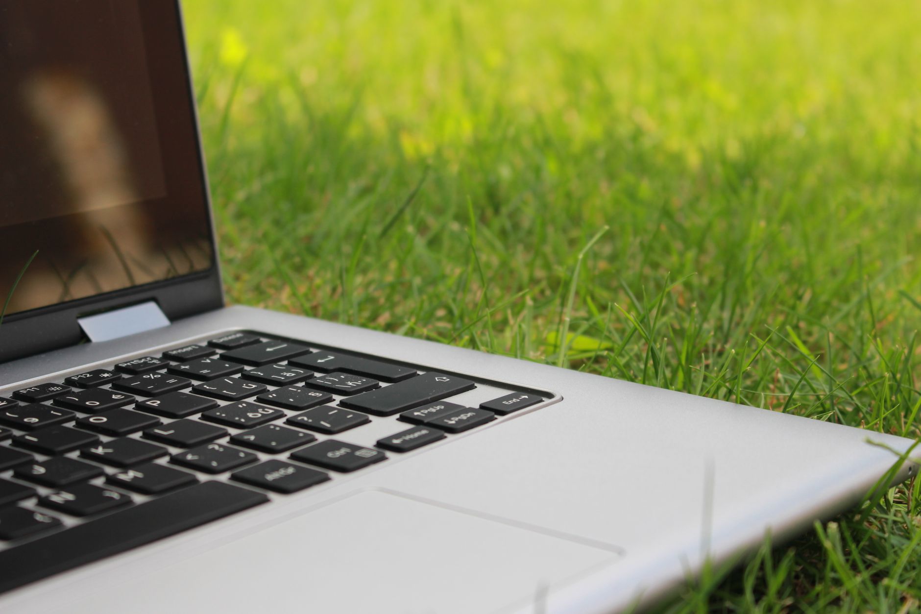 laptop connected no internet - Silver laptop computer on vibrant green grass depicting remote work outdoors in summer.