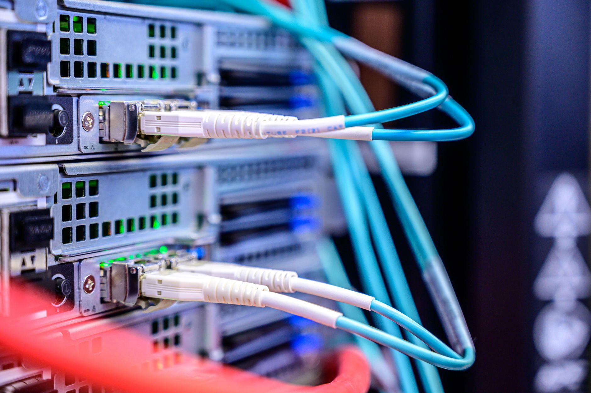 what is a networking reset - Detailed shot of Ethernet cables connected to server ports highlighting technology infrastructure.